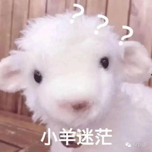 小羊前女友爆料视频播放,揭秘背后惊人真相  第2张