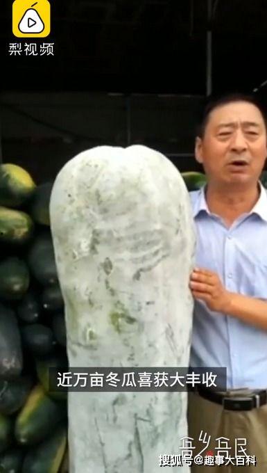 吃瓜四大网红,揭秘吃瓜四大网红的传奇故事  第3张